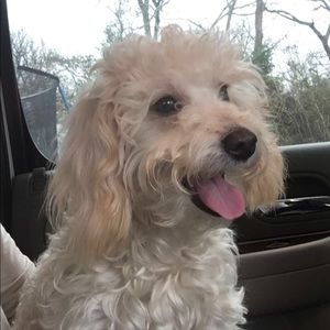 Meet your Posher, Olivia